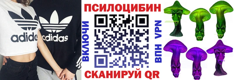 Купить закладки  Никольск  Галлюциногенные грибы ЛСД 